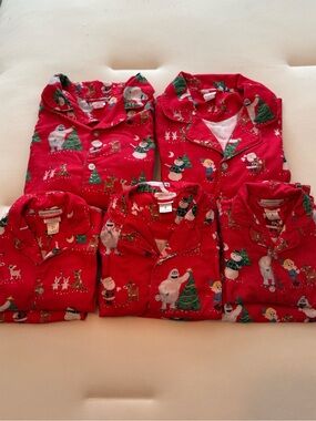 Matching Red Holiday Family Pajama Set with Festive Characters